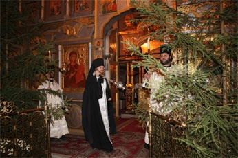 img_3121_1_346 img_3121_1_346